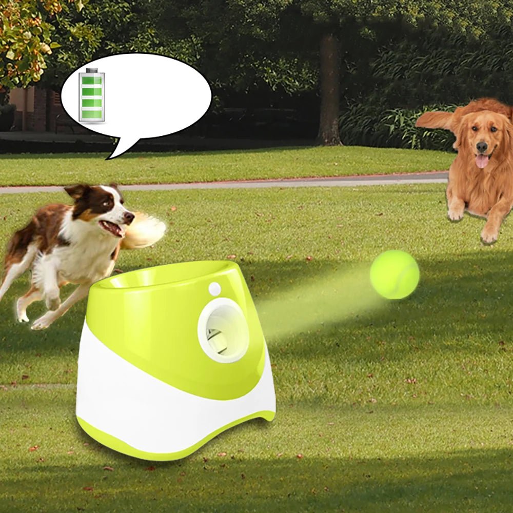 Automatic Tennis Ball Launcher - Goofytail
