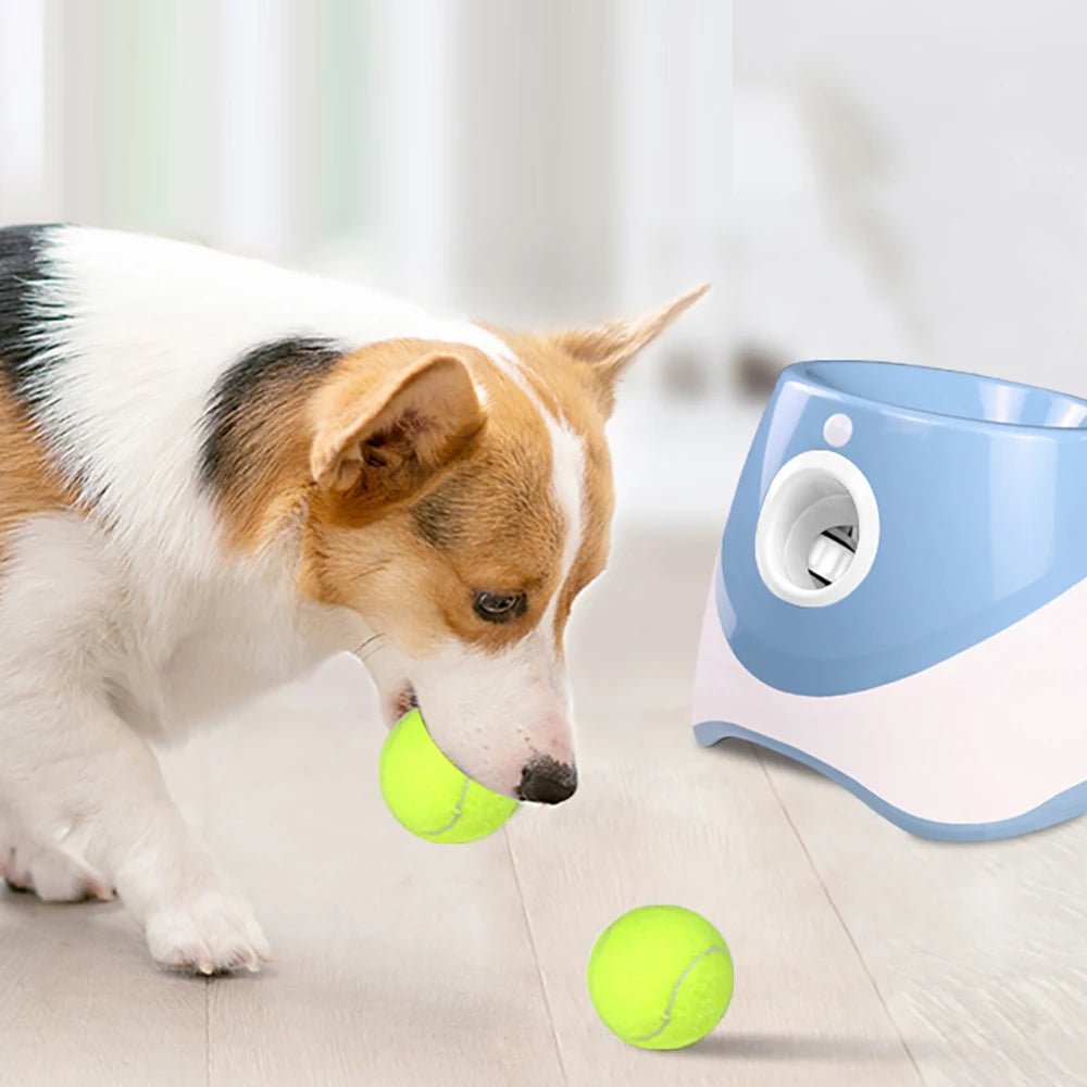 Automatic Tennis Ball Launcher - Goofytail