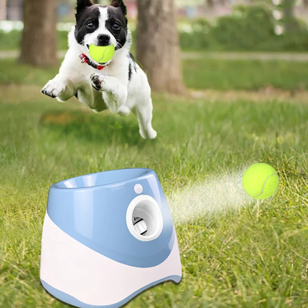 Automatic Tennis Ball Launcher - Goofytail