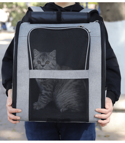 Cat relaxing inside breathable travel pet carrier with mesh windows