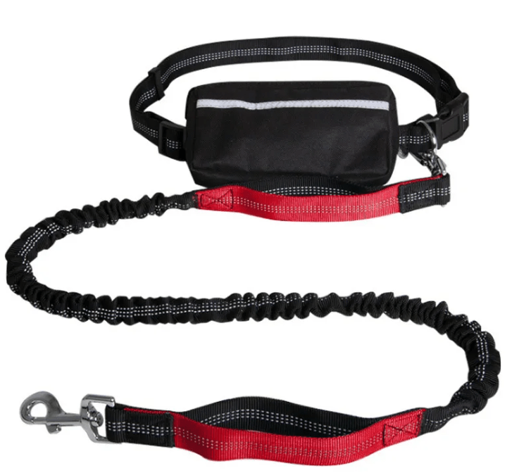 Reflecto Hands-Free Bungee Dog Leash with Waist Belt | Goofytail - Goofytail