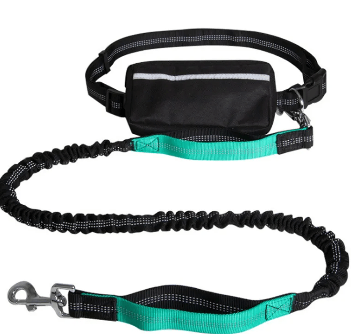 Reflecto Hands-Free Bungee Dog Leash with Waist Belt | Goofytail - Goofytail