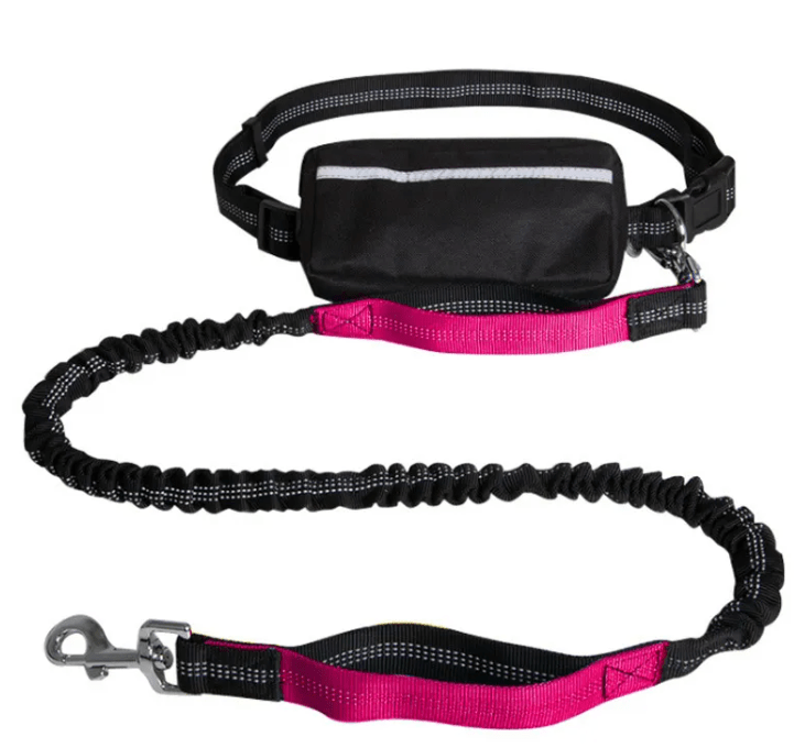 Reflecto Hands-Free Bungee Dog Leash with Waist Belt | Goofytail - Goofytail