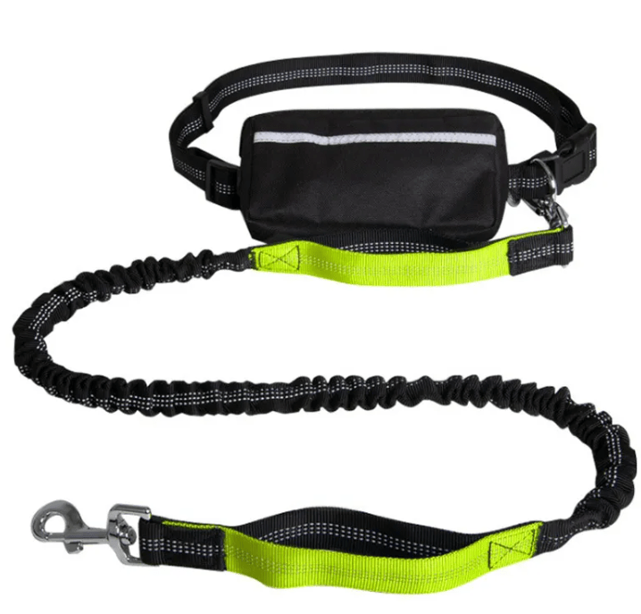 Reflecto Hands-Free Bungee Dog Leash with Waist Belt | Goofytail - Goofytail