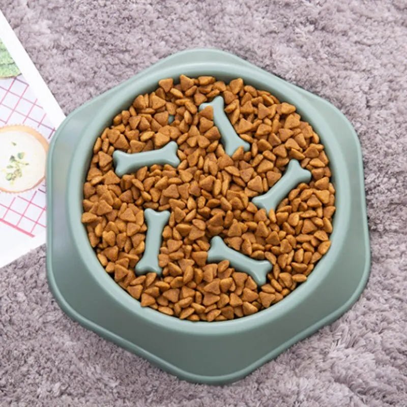 Slow Feeder Pet Bowl - Goofytail