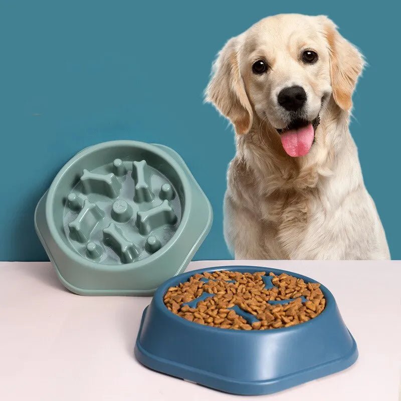 Slow Feeder Pet Bowl - Goofytail