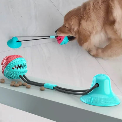 Suction Ball Interactive Dog Toy - Goofytail