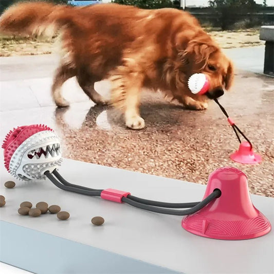 Suction cup interactive dog chew toy with rope and rubber ball